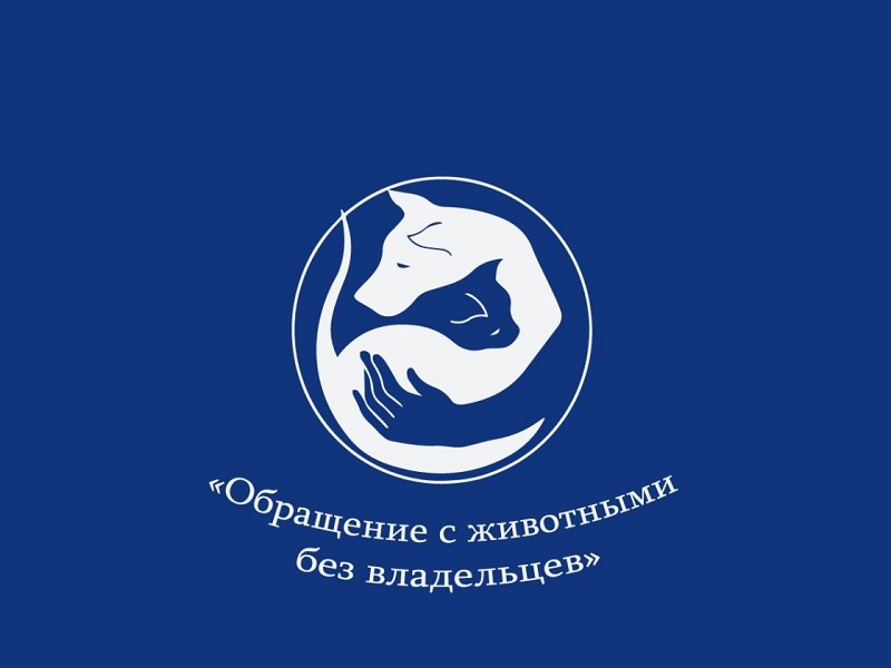 Собаки на самовыгуле.  Что делать?.