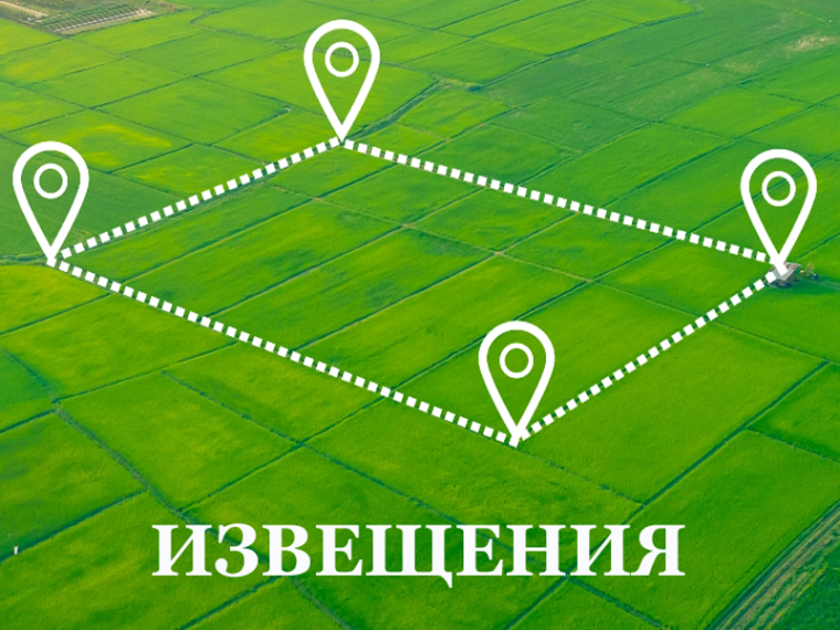 Информационное извещение. Информационное извещение.